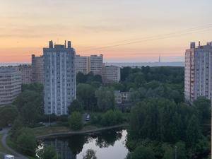 photo 2020 06 23 17 52 58 photo 2020 06 23 17 52 58