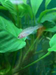 3CCC87D5 C80E 4DAA A7C1 8C995C4A85A5