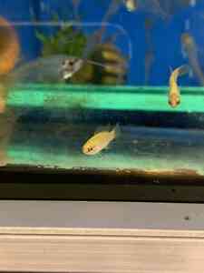 7BCCC453 1824 4F98 A857 84B448619E5D