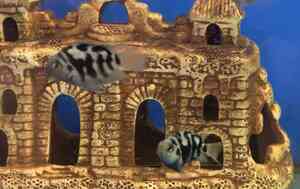 C351CE65 8B3C 4459 A43C 8D3D47AC9E5F