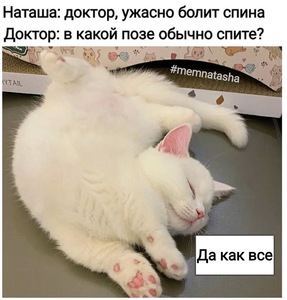 1ECFE504 1299 4DA2 B27A 07D5DE48BB3F