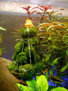 photo 2021 08 04 17 59 55