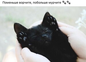 E2E82F0C 50C2 43FF 9BB3 F6E5AB476FD5