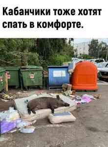 9BD62667 3EDD 4F35 BA0D D11916C5CDF8