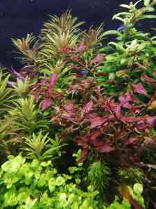 inbound1930778907417978881