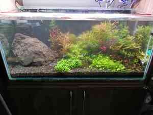 inbound212946870864209111