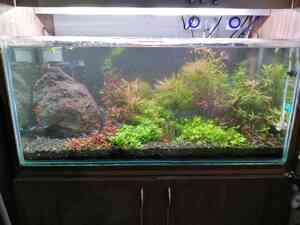 inbound4737391947599623318