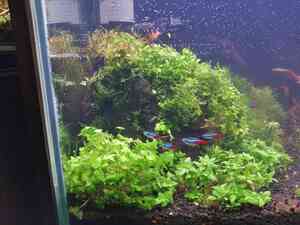 inbound2059132434036169085