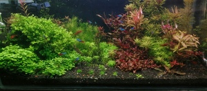 inbound3686670087660929918 inbound3686670087660929918