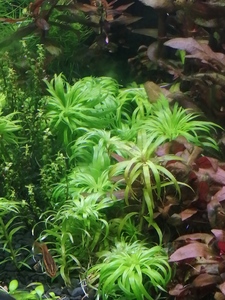 inbound8316733253804089614 inbound8316733253804089614