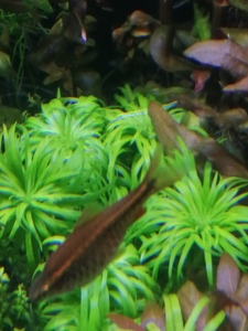 inbound3480482118019319575 inbound3480482118019319575