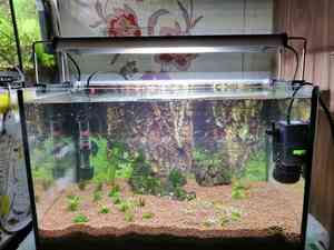 inbound5249422051502114012