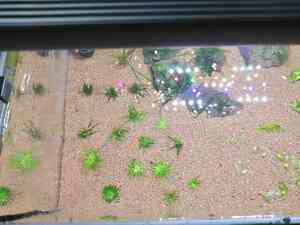 inbound4979068800995599496