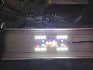 inbound3091423226195909647