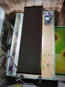 inbound5569733493862769795