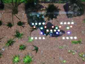 inbound3278425789232114725