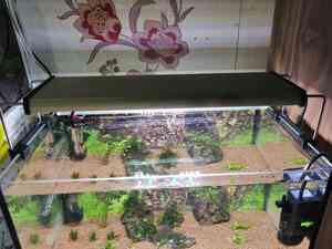 inbound3791308998587628828