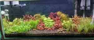 inbound4434403981777604452