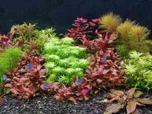 inbound5031290598674889157