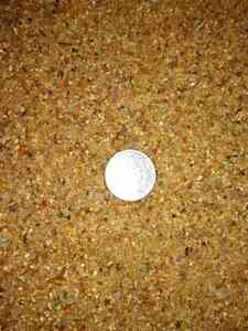 inbound6388343461699110531