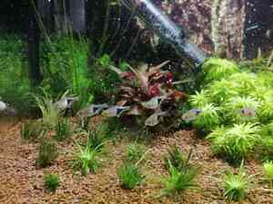 inbound2221224359816653301