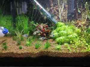 inbound2985940227947822412