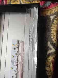 inbound2914001503610770174