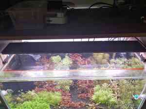 inbound6995956063298477270