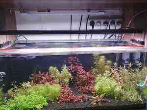 inbound5162321093720952221