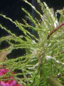 IMG 20211223 185738