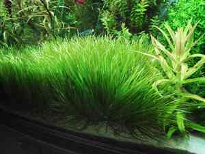 IMG 20180630 205952 IMG 20180630 205952