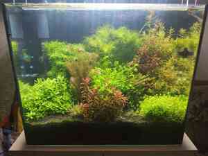 0 02 0a b46798317b32ae00055f19930983894d390388bb45be944e01387325b441042f f317f6df