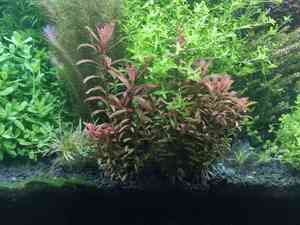 0 02 0a 62d18b6421202dadc9845323ffcd396d759cc3ba8ab684376775b65f755bc228 43174931