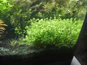 0 02 0a 41776c96cc1f7b3f4f43b668d16669968475a719b600e85afb8a6947adeac2f2 a84bcdce