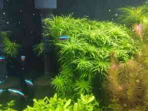 0 02 0a bf42e1ebef3bcd45eff0366c7fe42c825ab42ecadbd59d42f21970dbeec174b8 fca74341