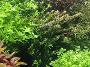 0 02 0a dd25c3d4fbe8f78122c810c91c81ee3f7890a4e7fe4a1794bfd7dd67b68b4dd8 46f12d6d