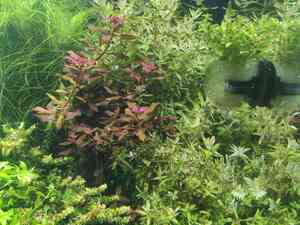 0 02 0a 7dffd53f273581fb8f0bae604f2bfa723389d5d6334b2ba6eb2ff6118ca37b07 a4af4b83