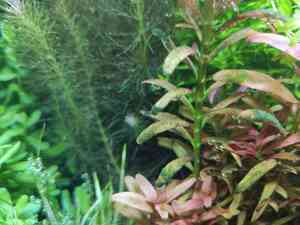 0 02 05 7099eea9ffd711f99658ca72314040df91b357a5b91f5723c256aa2a0f60f858 dd5fa091