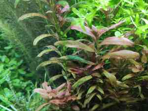 0 02 05 1c17646a64c6db44206b55caf519a82b051c62dbf8e8be553eecbf10fe57f026 b3062fdf