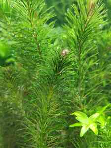 0 02 05 43b3bfd9e7dd7fdcd92ad7757ee205132d0853a9c67185b6d03a5aa7d3174eb1 b29fcd06