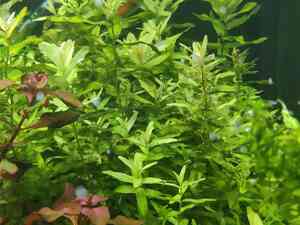 0 02 05 fa81bb1c6598e21e38b07f8f9a9980b686a1d8b8404ff53b58bc8840ad9327c9 b1e5030d