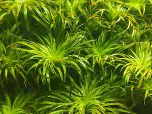 0 02 0a aa9d2717f311edd42d0050fec01cb28e7cc2f53cbca5dae7188a7b2705f3854c fe1e1d8d