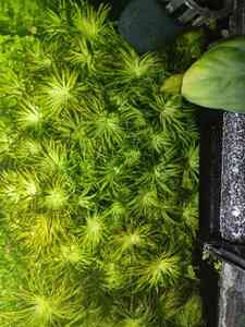 0 02 05 f2636cac6e60c30b450af8a9dda18151880f1e73f71398e3ac892015e10e82c8 8b4384f6