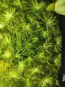 0 02 05 90536daa5abb38360419703067ab9bda7a44e59715fc9c2841951b932ae4a250 64d43e14