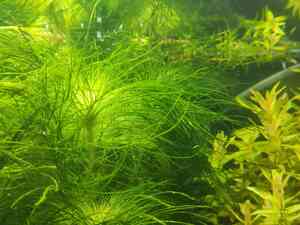 IMG 8bd4d6d01c362c52115ea49d6d161541 V IMG 8bd4d6d01c362c52115ea49d6d161541 V