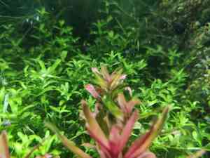 IMG 216f2d665a9cf435141944d85843d28b V IMG 216f2d665a9cf435141944d85843d28b V