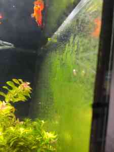 0 02 0a 5a1eac167652dd8da08eef0a3286c2a0efbb464eafdd724486041b4b13bb90d8 5649f21e