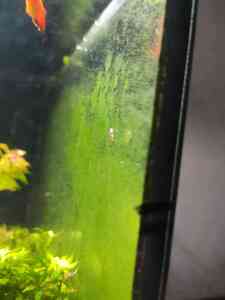 0 02 0a d27ff3d8fee831c165bd52150312c9cb26602fef523d2d9251165ff82a13562d 7a96481