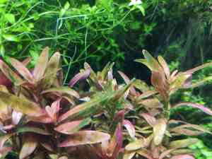 0 02 0a c5bcf63d21fe20a20bfb477607a91955a3416a87b99e6e704ed855d0c04f2c9a e8f2394a