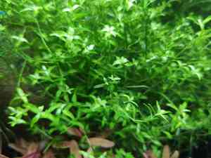 0 02 0a ef93a187dda1830f1f22fcfeabad6b9645ece9eea0e14dbf82af916016c31767 42fcf1bd